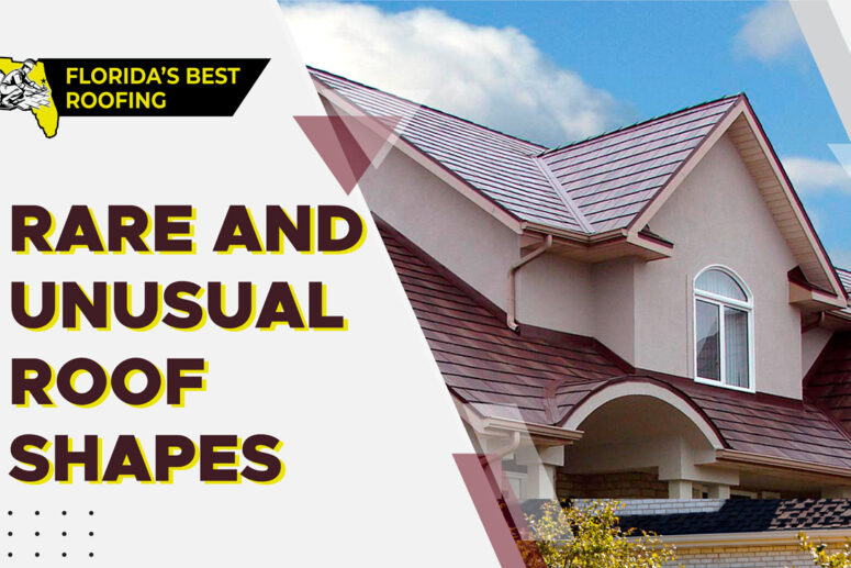 we will provide you with information on rare and unusual roof shapes
