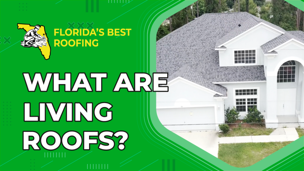 what-are-living-roofs-roofing