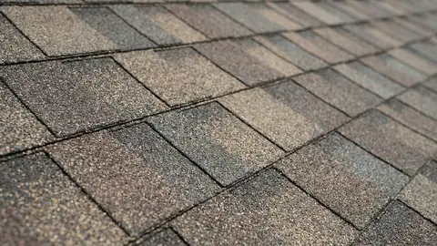 Shingle roof