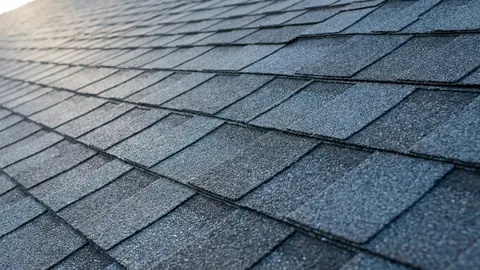 Impact-resistant shingle roof close-up