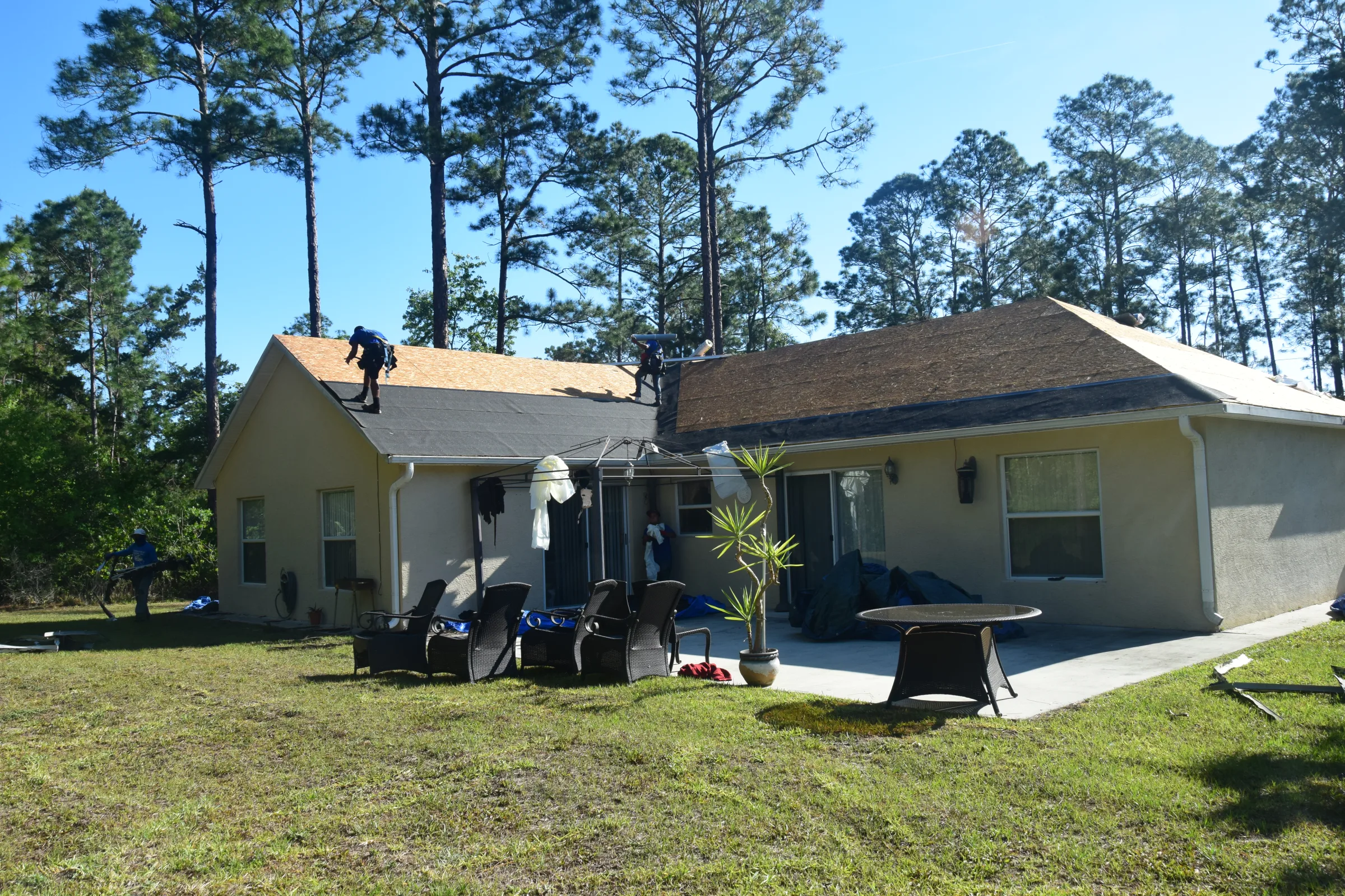 Roof management Florida