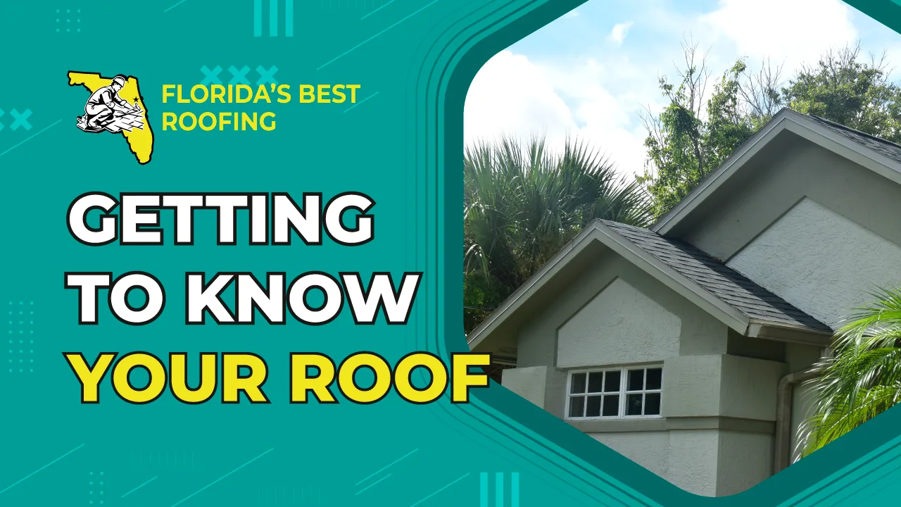 Getting to Know Your Roof