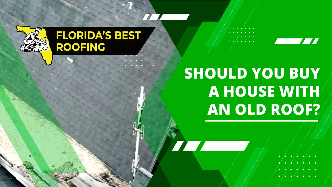 Should you Buy a House with an Old Roof?