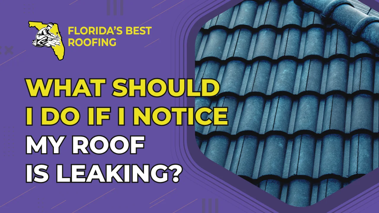 What Should I Do If I Notice My Roof is Leaking?