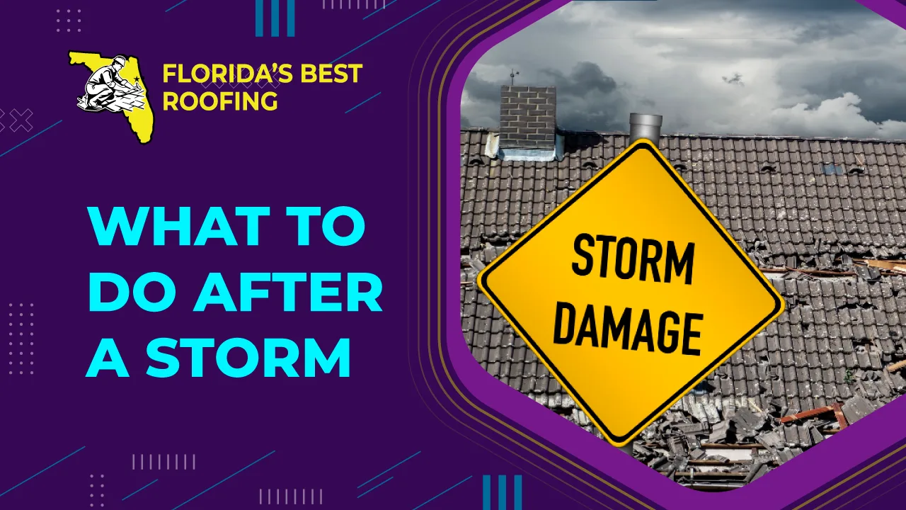 What to Do After a Storm
