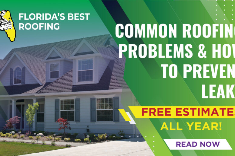 Common Roofing Problems